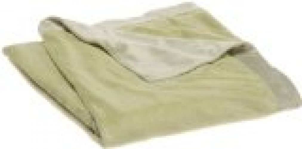 Pinzon Luxury Plush Mink Throw, Sage