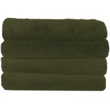 Sunbeam Royal Elegance Microplush Throw, Ivy