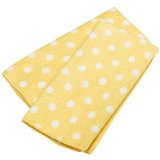 DII Microfiber Dots Dishtowel Citrus, Set of 2