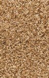 LA Rug 101/06 Click Collection 2-Feet by 4-Feet Accent Rug